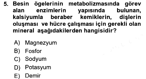 Sağlıklı Yaşam 2015-2016 Ara Sınav - 5. soru