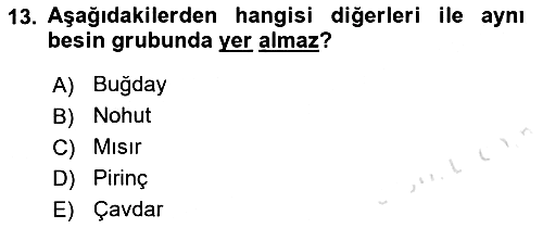 Sağlıklı Yaşam 2021-2022 Ara Sınav - 13. soru