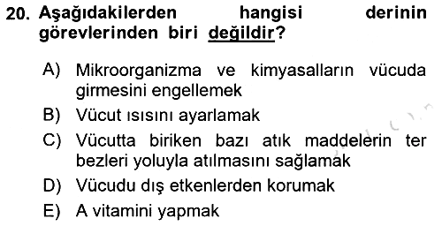Sağlıklı Yaşam 2021-2022 Ara Sınav - 20. soru