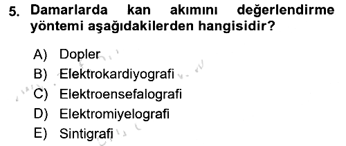 Sağlıklı Yaşam 2025-2026 Ara Sınav - 5. soru