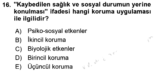 Sağlıklı Yaşam 2025-2026 Ara Sınav - 16. soru