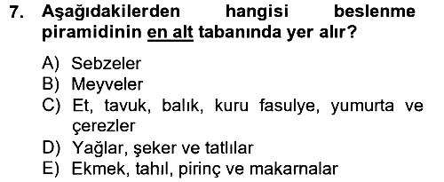 Sağlıklı Yaşam 2012-2013 Dönem Sonu Sınavı - 7. soru