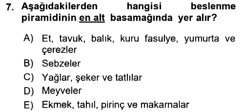 Sağlıklı Yaşam 2015-2016 Dönem Sonu Sınavı - 7. soru