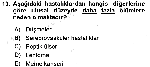 Sağlıklı Yaşam 2016-2017 Dönem Sonu Sınavı - 13. soru