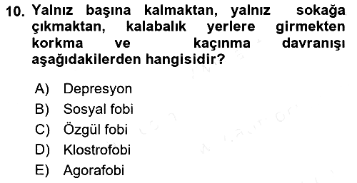 Sağlıklı Yaşam 2018-2019 Dönem Sonu Sınavı - 10. soru
