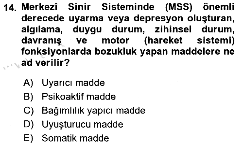Sağlıklı Yaşam 2021-2022 Dönem Sonu Sınavı - 14. soru