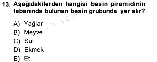 Sağlıklı Yaşam 2014-2015 Tek Ders Sınavı - 13. soru