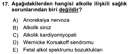 Sağlıklı Yaşam 2021-2022 Yaz Okulu Sınavı - 17. soru