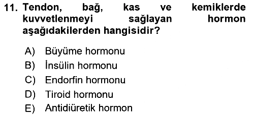 Sağlıklı Yaşam 2022-2023 Yaz Okulu Sınavı - 11. soru