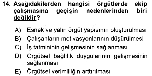 Verimlilik Yönetimi 2017-2018 3 Ders Sınavı - 14. soru