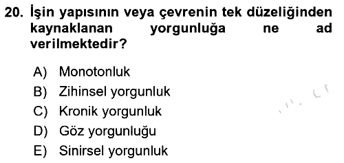 Verimlilik Yönetimi 2024-2025 Ara Sınav - 20. soru