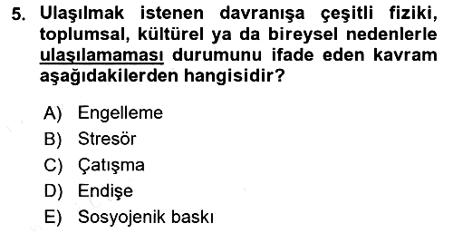 Verimlilik Yönetimi 2018-2019 Dönem Sonu Sınavı - 5. soru