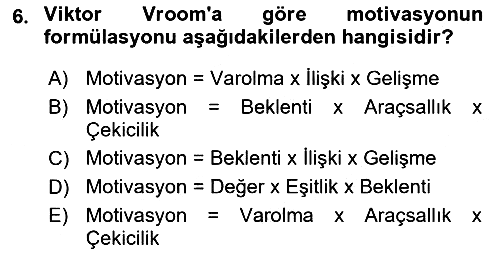 Verimlilik Yönetimi 2018-2019 Dönem Sonu Sınavı - 6. soru
