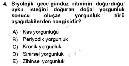 Verimlilik Yönetimi 2023-2024 Dönem Sonu Sınavı - 4. soru
