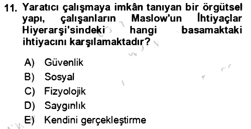 Verimlilik Yönetimi 2023-2024 Yaz Okulu Sınavı - 11. soru