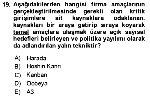 Verimlilik Yönetimi 2023-2024 Yaz Okulu Sınavı - 19. soru