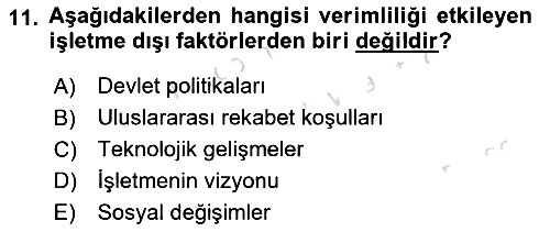 Verimlilik Yönetimi 2024-2025 Yaz Okulu Sınavı - 11. soru