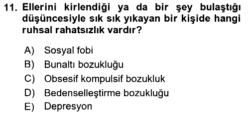 Aile Psikolojisi ve Eğitimi 2018-2019 3 Ders Sınavı - 11. soru