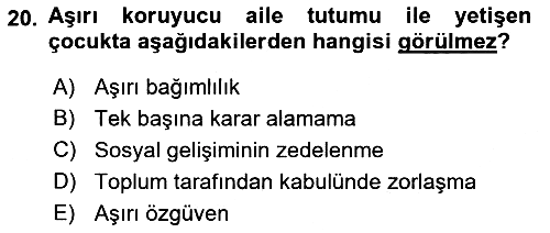 Aile Psikolojisi ve Eğitimi 2018-2019 Ara Sınav - 20. soru