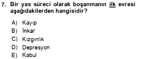 Aile Psikolojisi ve Eğitimi 2023-2024 Ara Sınav - 7. soru