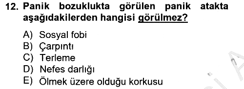 Aile Psikolojisi ve Eğitimi 2012-2013 Dönem Sonu Sınavı - 12. soru