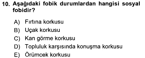 Aile Psikolojisi ve Eğitimi 2016-2017 Dönem Sonu Sınavı - 10. soru