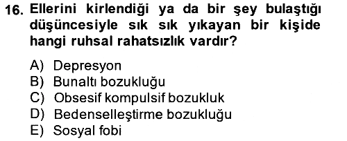 Aile Psikolojisi ve Eğitimi 2013-2014 Tek Ders Sınavı - 16. soru