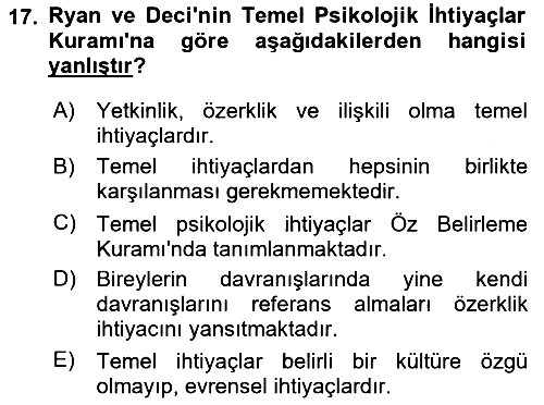Aile Psikolojisi ve Eğitimi 2025-2026 Ara Sınav - 17. soru