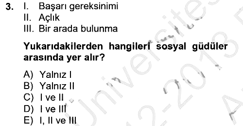 Birey ve Davranış 2012-2013 Ara Sınav - 3. soru