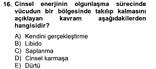Birey ve Davranış 2012-2013 Ara Sınav - 16. soru