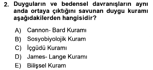 Birey ve Davranış 2016-2017 Ara Sınav - 2. soru