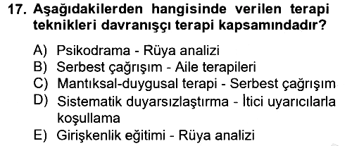 Birey ve Davranış 2012-2013 Dönem Sonu Sınavı - 17. soru