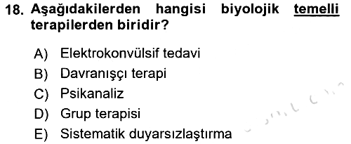 Birey ve Davranış 2016-2017 Dönem Sonu Sınavı - 18. soru