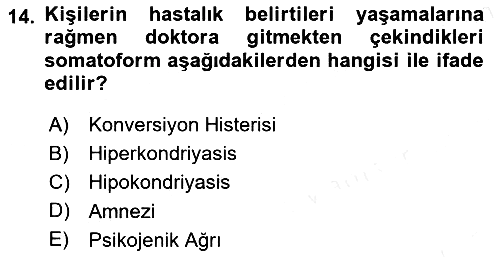 Birey ve Davranış 2018-2019 Dönem Sonu Sınavı - 14. soru