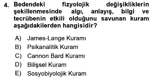Birey ve Davranış 2024-2025 Yaz Okulu Sınavı - 4. soru
