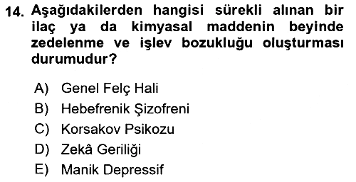 Birey ve Davranış 2024-2025 Yaz Okulu Sınavı - 14. soru