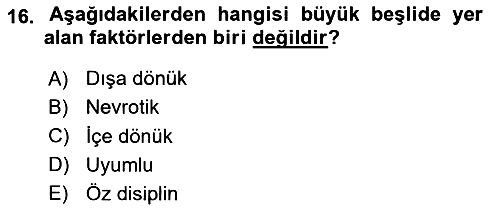 Birey ve Davranış 2023-2024 Ara Sınav - 16. soru