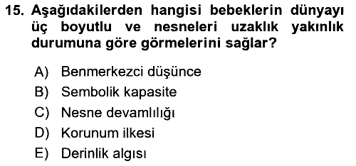 Birey ve Davranış 2024-2025 Ara Sınav - 15. soru