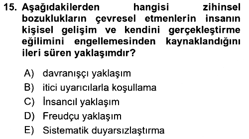 Birey ve Davranış 2021-2022 Dönem Sonu Sınavı - 15. soru