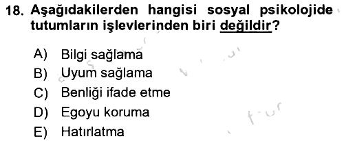 Birey ve Davranış 2021-2022 Dönem Sonu Sınavı - 18. soru