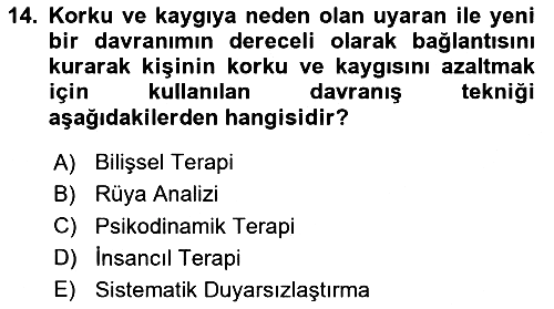Birey ve Davranış 2023-2024 Dönem Sonu Sınavı - 14. soru