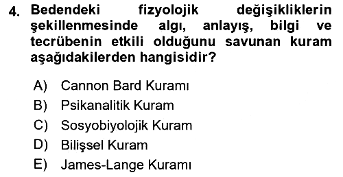 Birey ve Davranış 2023-2024 Yaz Okulu Sınavı - 4. soru