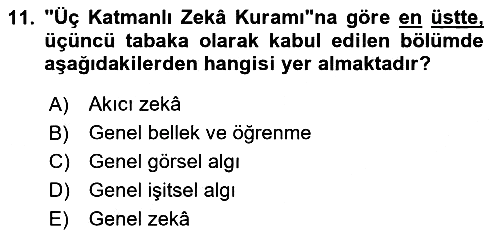 Eğitim Psikolojisi 2024-2025 Ara Sınav - 11. soru
