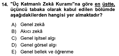 Eğitim Psikolojisi 2022-2023 Yaz Okulu Sınavı - 14. soru