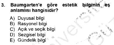 Estetik ve Sanat Felsefesi 2012-2013 Ara Sınav - 3. soru