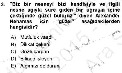 Estetik ve Sanat Felsefesi 2015-2016 Ara Sınav - 3. soru