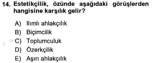 Estetik ve Sanat Felsefesi 2016-2017 Ara Sınav - 14. soru