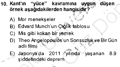 Estetik ve Sanat Felsefesi 2013-2014 Dönem Sonu Sınavı - 10. soru