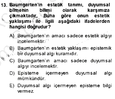 Estetik ve Sanat Felsefesi 2013-2014 Dönem Sonu Sınavı - 13. soru
