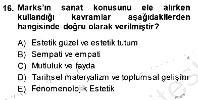 Estetik ve Sanat Felsefesi 2013-2014 Dönem Sonu Sınavı - 16. soru